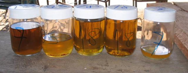 amostras-copaiba.jpg